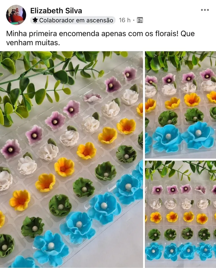 Print de mensagem de aluna da Prof Gi